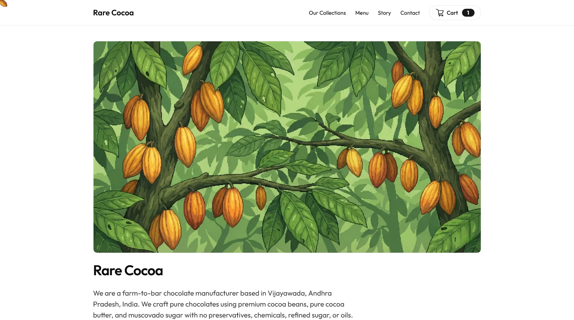 Rare Cocoa, Farm-to-bar chocolate storefront for pure small-batch cocoa.